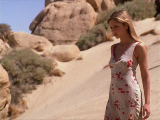 Buffy the Vampire Slayer