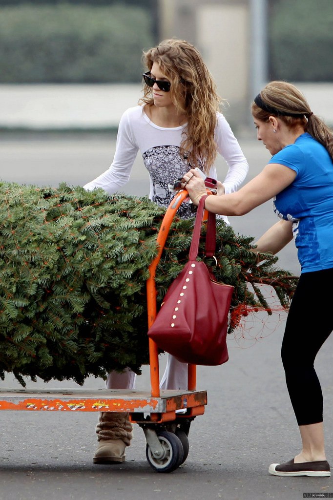 AnnaLynne McCord