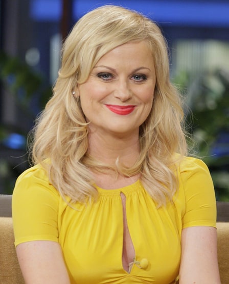 Amy Poehler