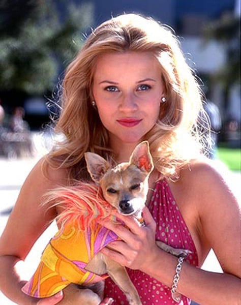 Legally Blonde Legally Blonde