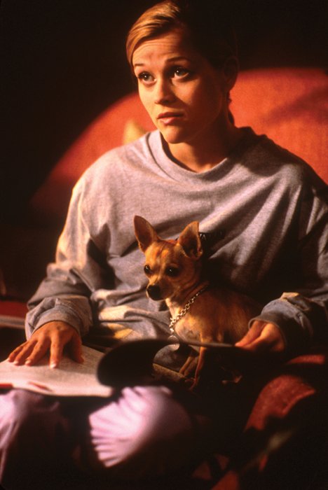 Legally Blonde Legally Blonde