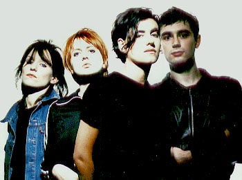 Picture of Elastica