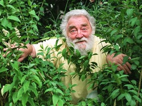 David Bellamy