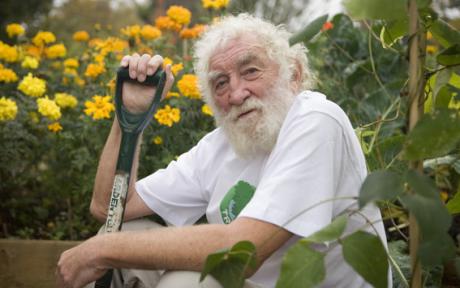 David Bellamy