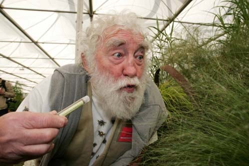 David Bellamy