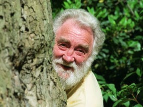 David Bellamy