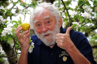 David Bellamy