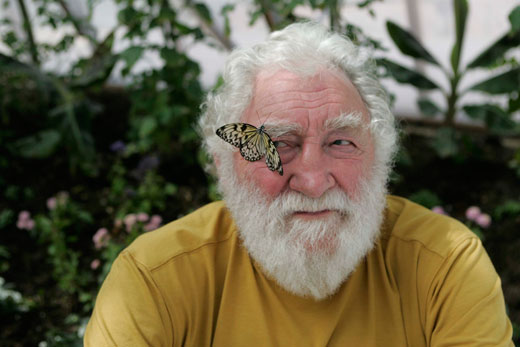 David Bellamy