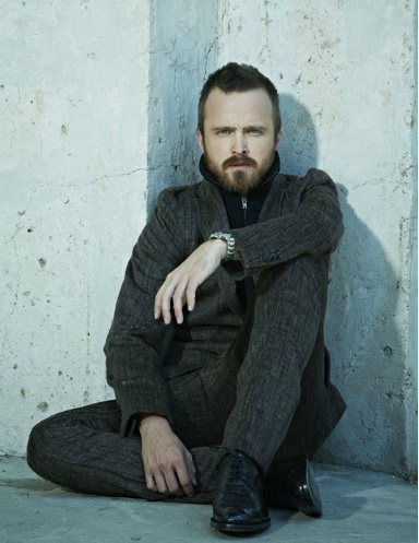Aaron Paul