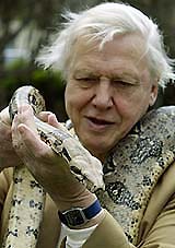 David Attenborough David Attenborough