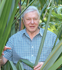 David Attenborough David Attenborough