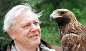 David Attenborough David Attenborough