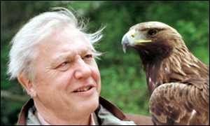 David Attenborough