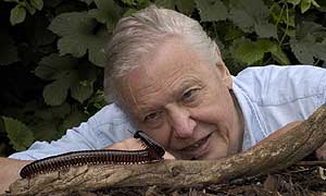 David Attenborough David Attenborough
