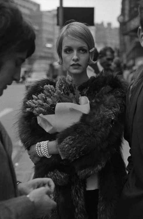 Twiggy