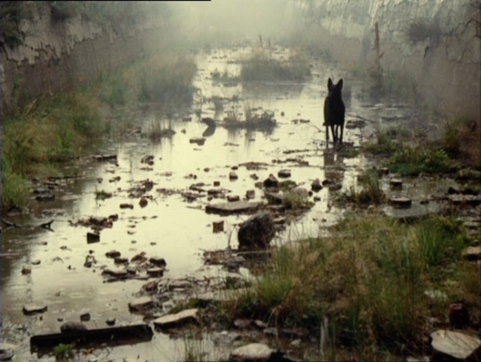 Stalker (1979) Stalker (1979)