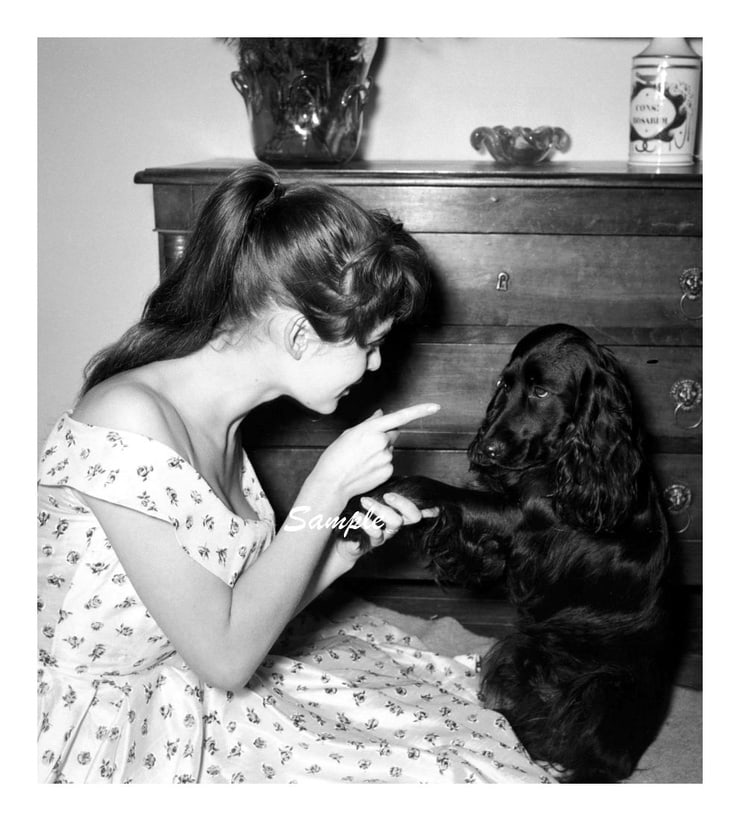 Brigitte Bardot Brigitte Bardot