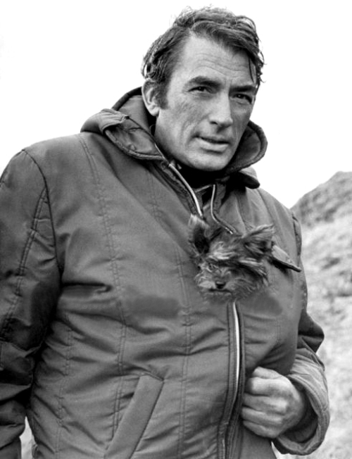 Gregory Peck
