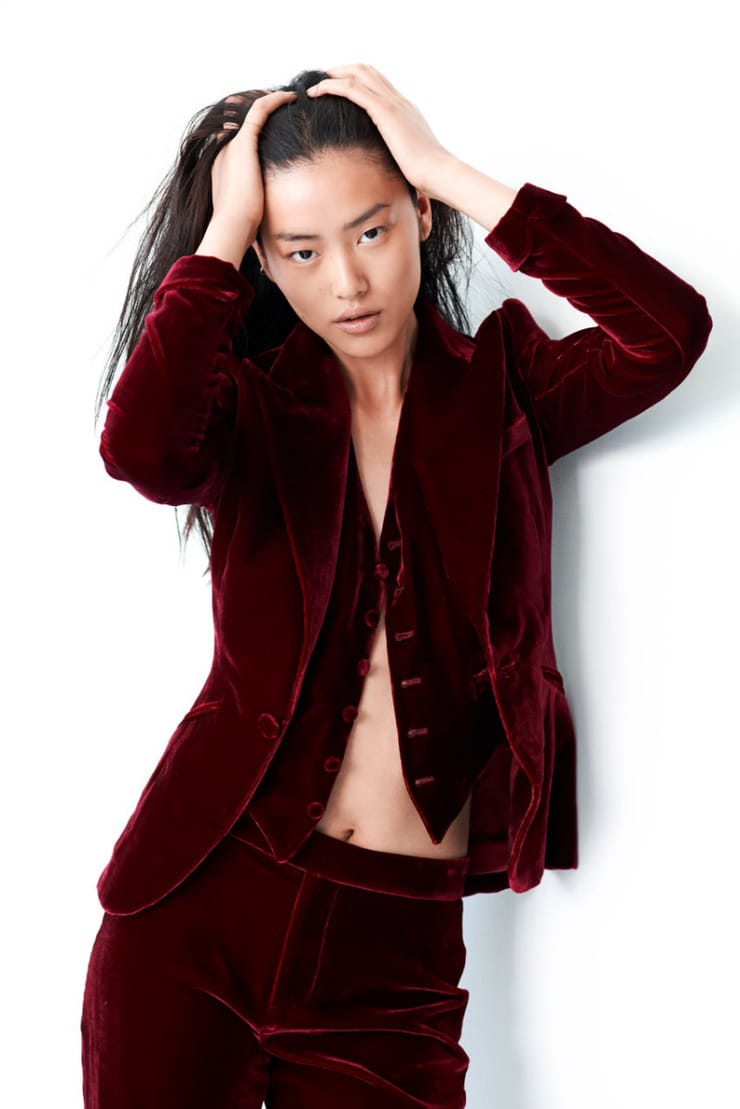 Liu Wen