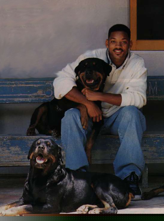 Will Smith Will Smith