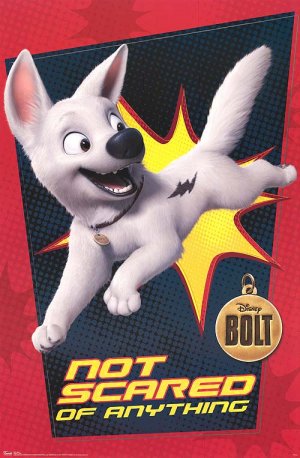 Bolt