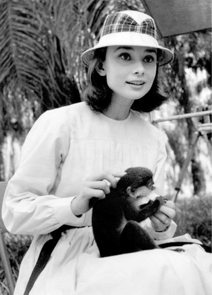 Audrey Hepburn