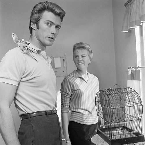Clint Eastwood