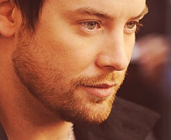 David Cook