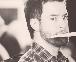 David Cook