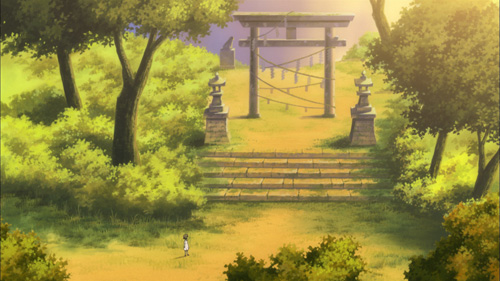 Into the Forest of Fireflies' Light