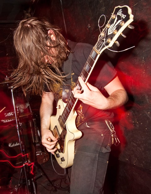 Ash Borer Ash Borer