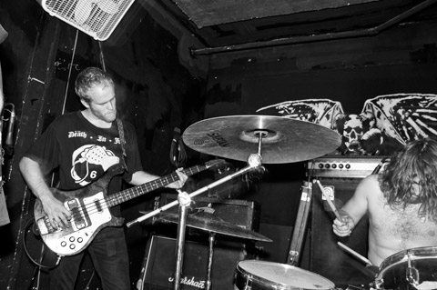 Ash Borer Ash Borer