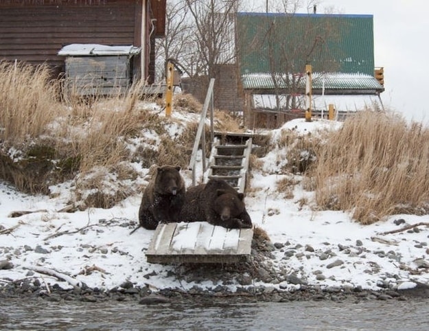 Only In Russia