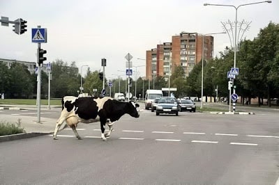 Only In Russia