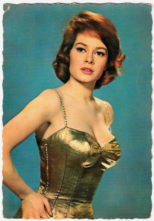 Luciana Paluzzi Luciana Paluzzi