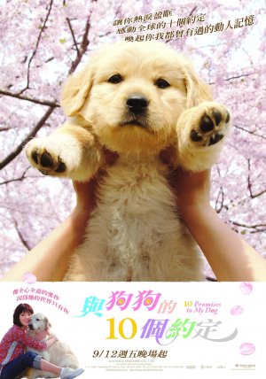 10 Promises to My Dog