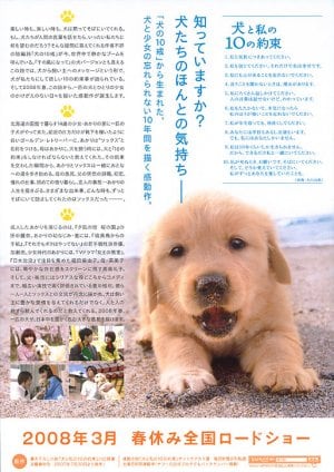 10 Promises to My Dog