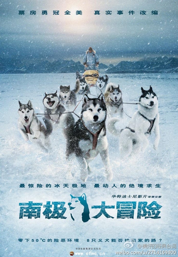 Eight Below