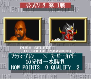 Super Fire Pro Wrestling