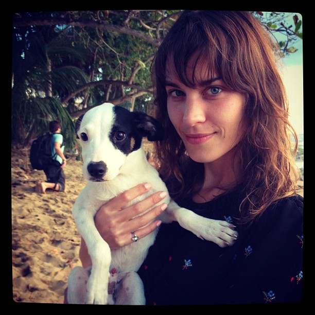 Alexa Chung Alexa Chung