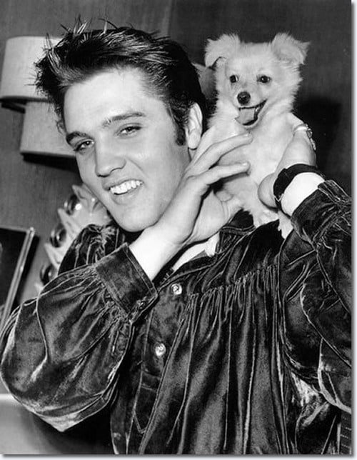 Elvis Presley