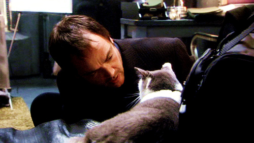 Mark Sheppard