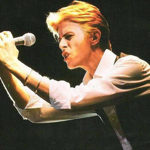 David Bowie