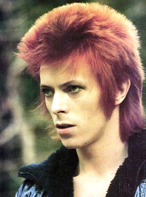 David Bowie