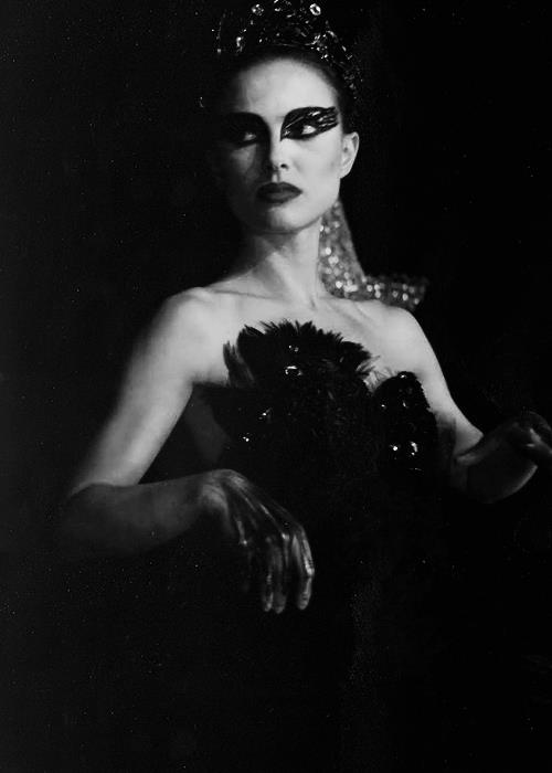 Black Swan Black Swan