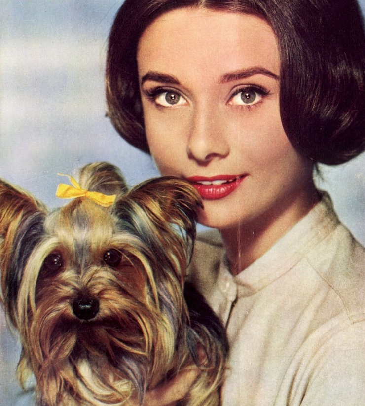 Audrey Hepburn Audrey Hepburn