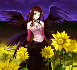 Rosario+Vampire, Vol. 2