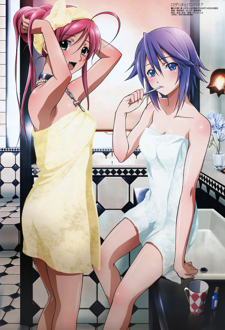 Rosario+Vampire, Vol. 2