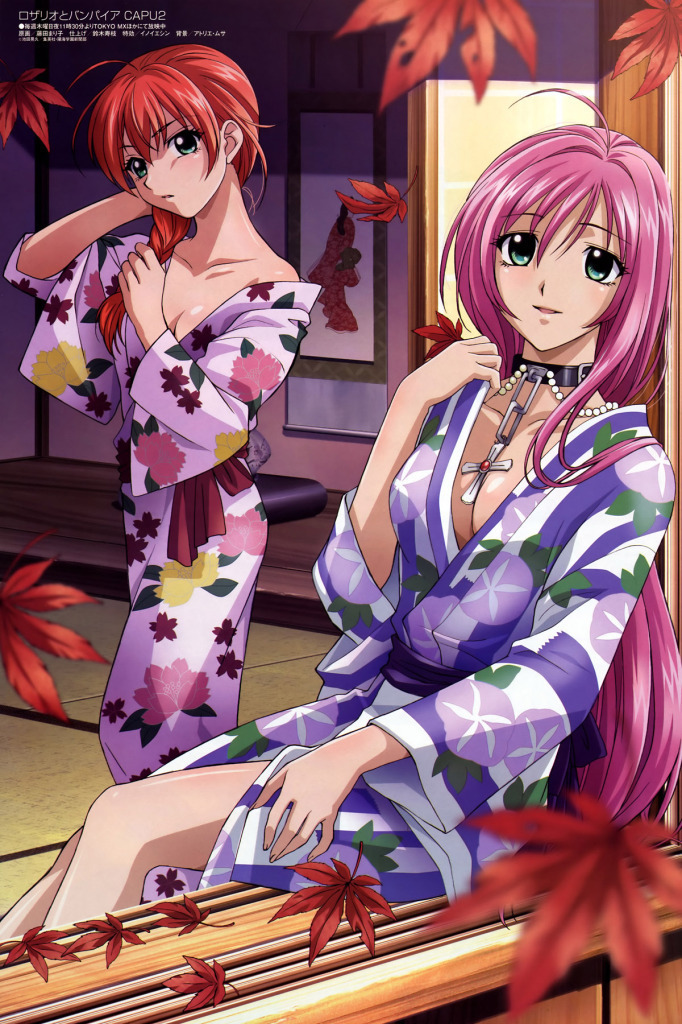 Rosario+Vampire, Vol. 2