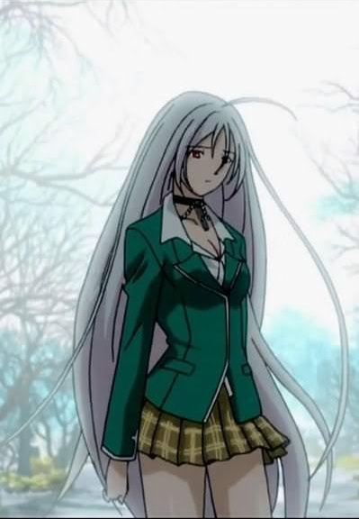Rosario+Vampire, Vol. 2